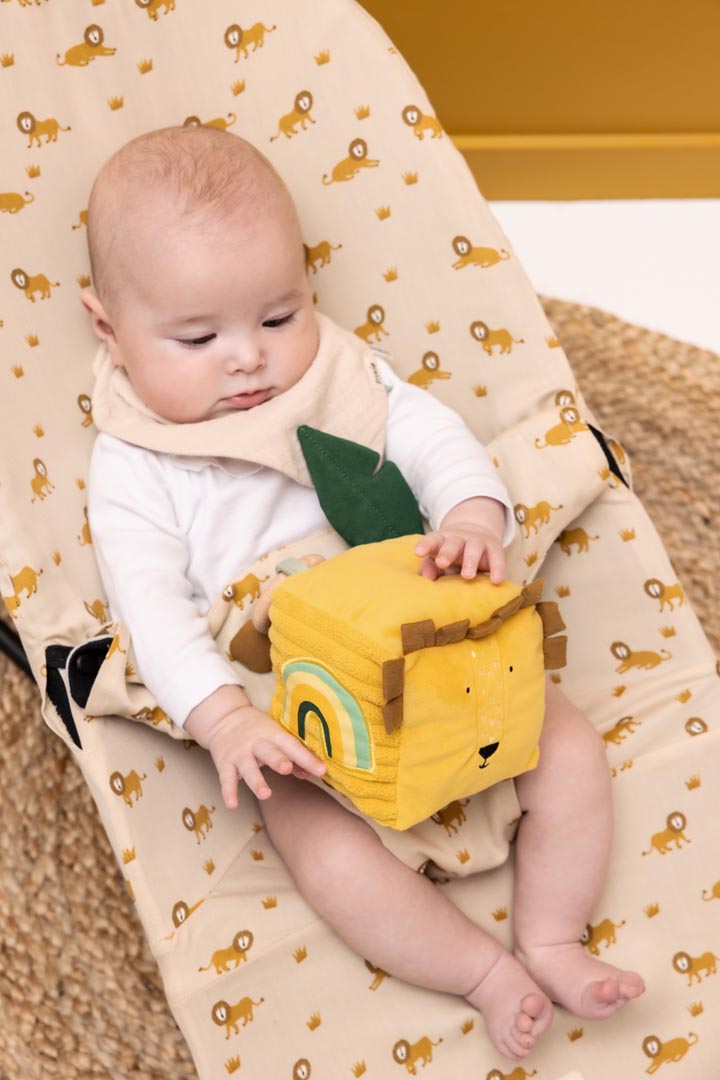 Cubo de actividad - Mr. Lion